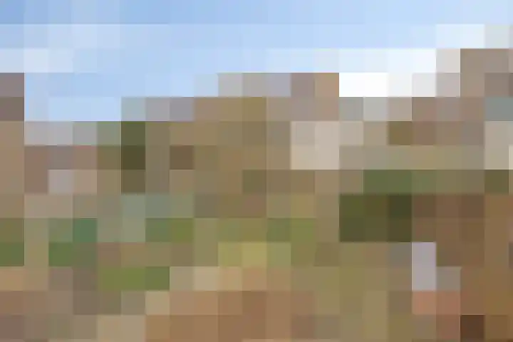 Oude Haarlemmerweg 33 Castricum thumbnail 34