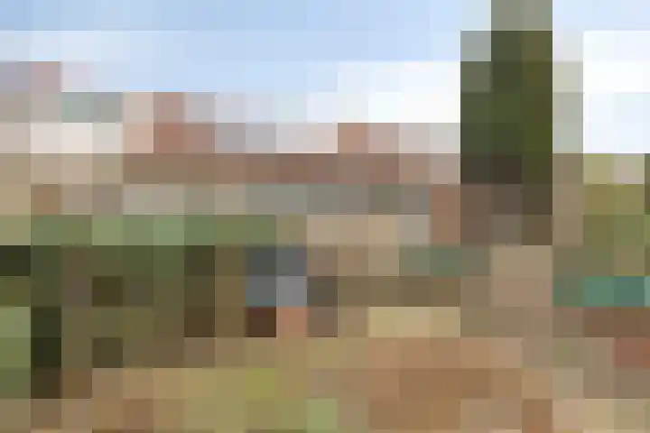 Oude Haarlemmerweg 33 Castricum thumbnail 35