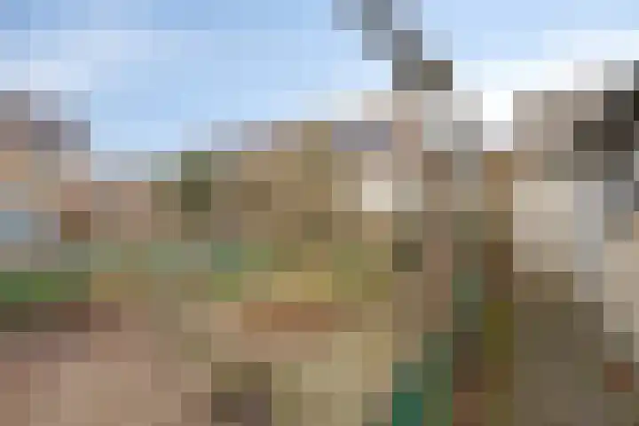 Oude Haarlemmerweg 33 Castricum thumbnail 36