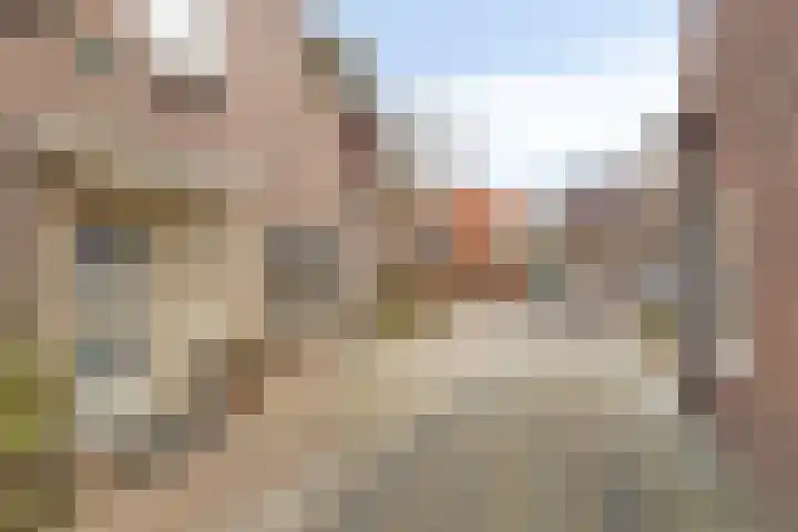 Oude Haarlemmerweg 33 Castricum thumbnail 38