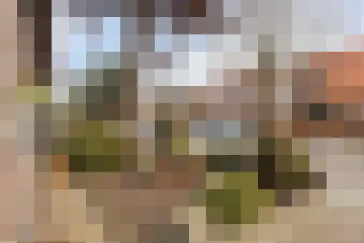 Oude Haarlemmerweg 33 Castricum thumbnail 39