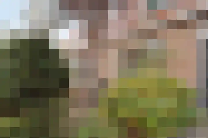 Oude Haarlemmerweg 33 Castricum thumbnail 40