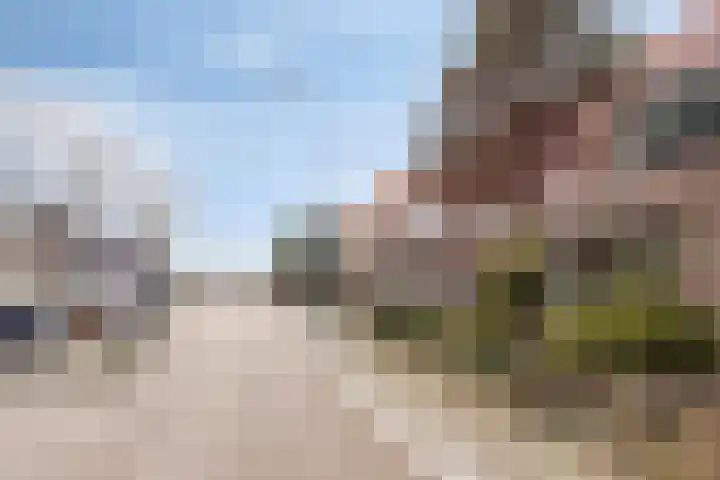 Oude Haarlemmerweg 33 Castricum thumbnail 42