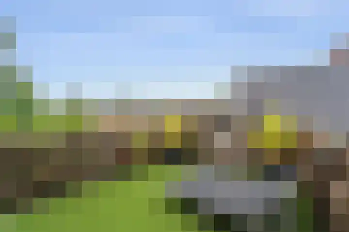 Oude Haarlemmerweg 5 a Castricum thumbnail 36