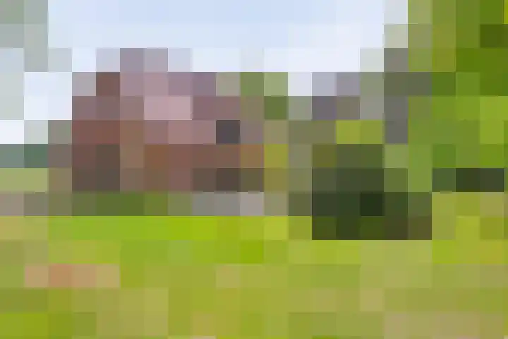 Oude Hammerweg 11 a Giethmen thumbnail 13