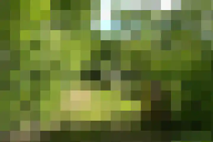 Oude Hammerweg 11 a Giethmen thumbnail 15