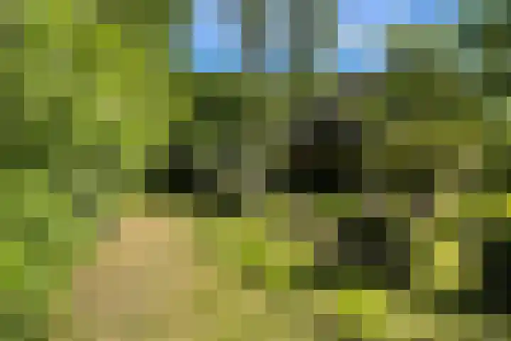 Oude Hammerweg 11 a Giethmen thumbnail 16