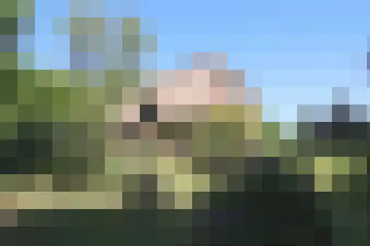Oude Hammerweg 11 a Giethmen thumbnail 17