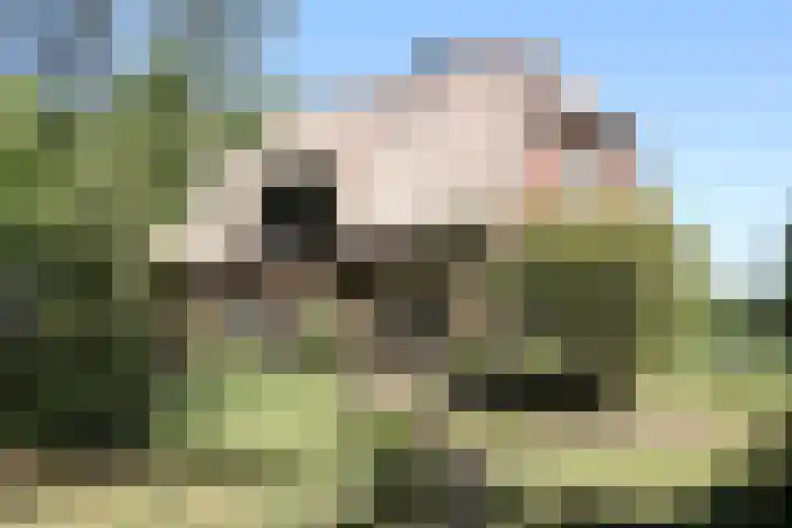 Oude Hammerweg 11 a Giethmen thumbnail 18