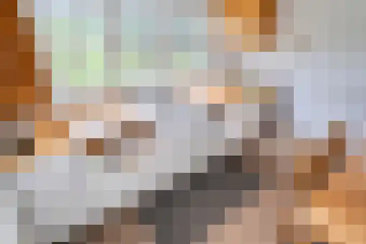 Oude Hammerweg 11 a Giethmen thumbnail 20