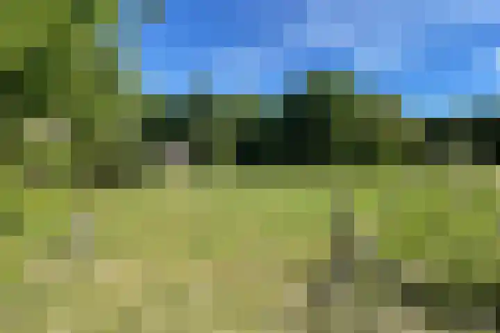 Oude Hammerweg 11 a Giethmen thumbnail 27
