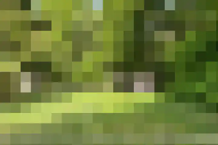 Oude Hammerweg 11 a Giethmen thumbnail 28