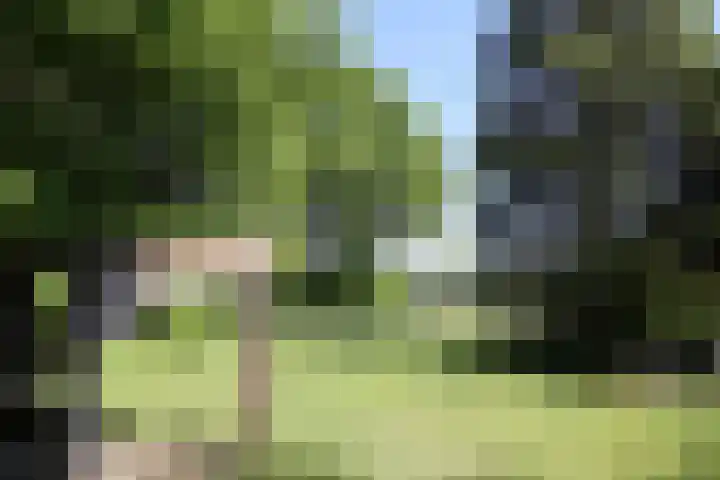 Oude Hammerweg 11 a Giethmen thumbnail 29