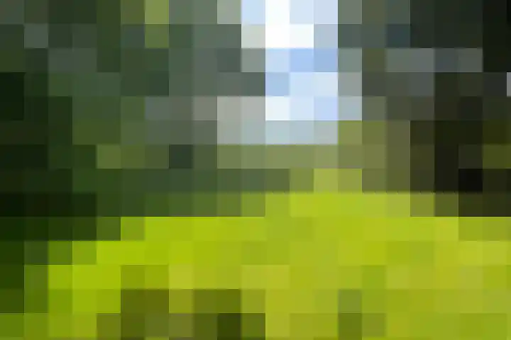 Oude Hammerweg 11 a Giethmen thumbnail 30