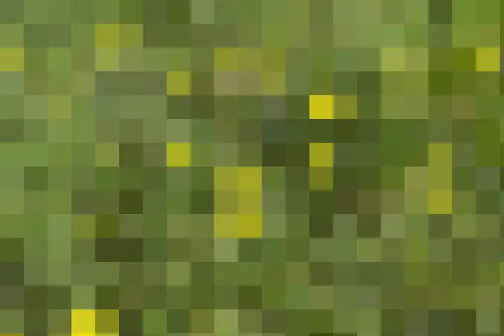 Oude Hammerweg 11 a Giethmen thumbnail 31