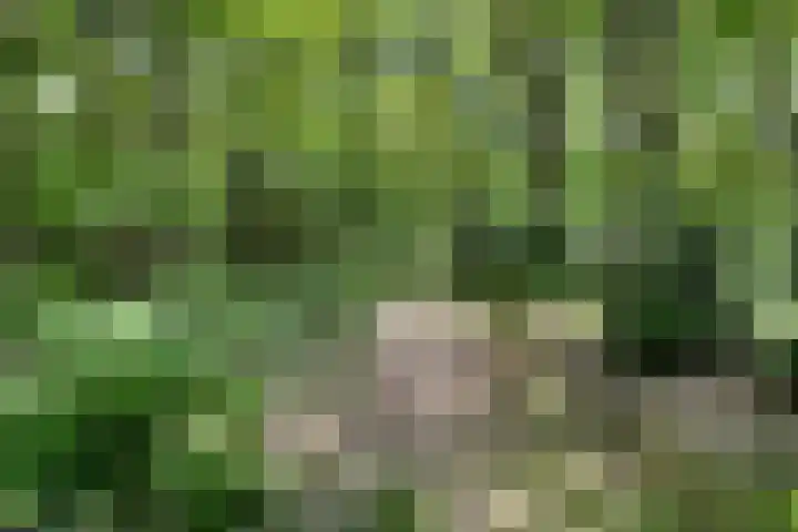 Oude Hammerweg 11 a Giethmen thumbnail 33