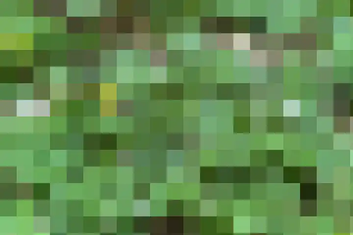 Oude Hammerweg 11 a Giethmen thumbnail 35