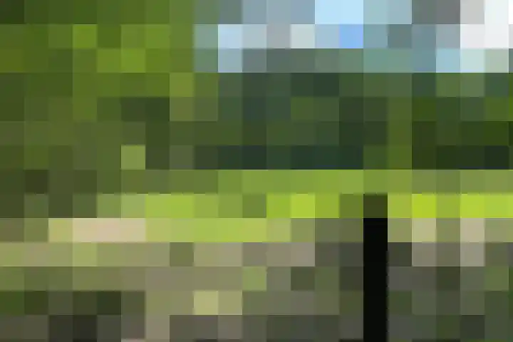 Oude Hammerweg 11 a Giethmen thumbnail 36