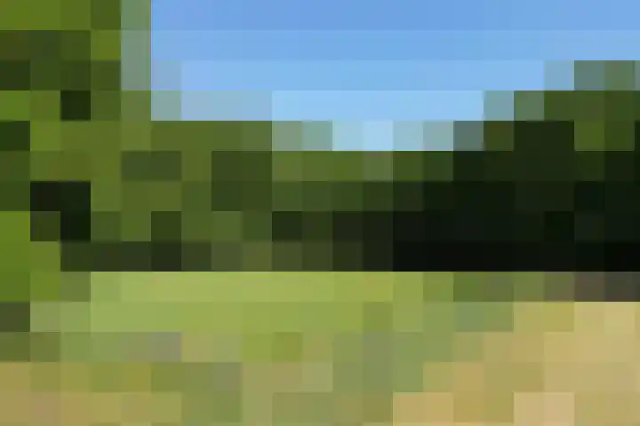 Oude Hammerweg 11 a Giethmen thumbnail 37