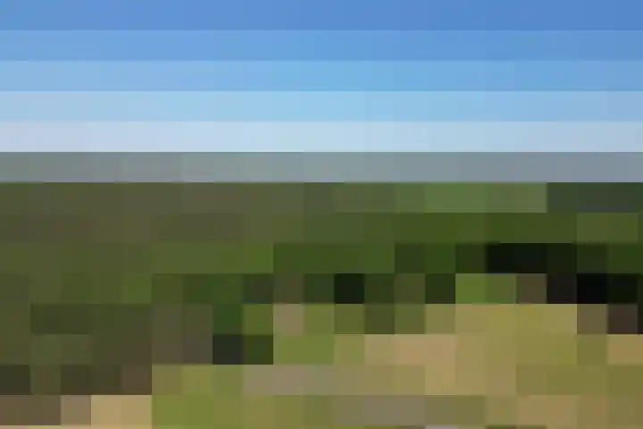 Oude Hammerweg 11 a Giethmen thumbnail 4
