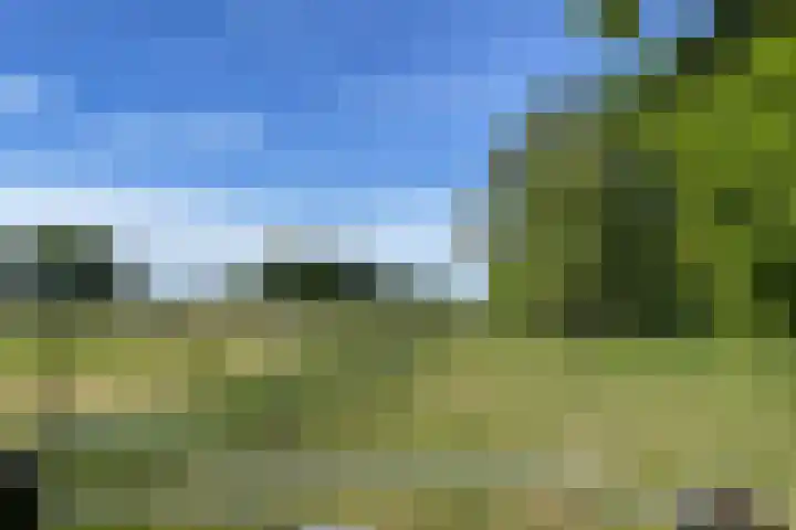 Oude Hammerweg 11 a Giethmen thumbnail 40