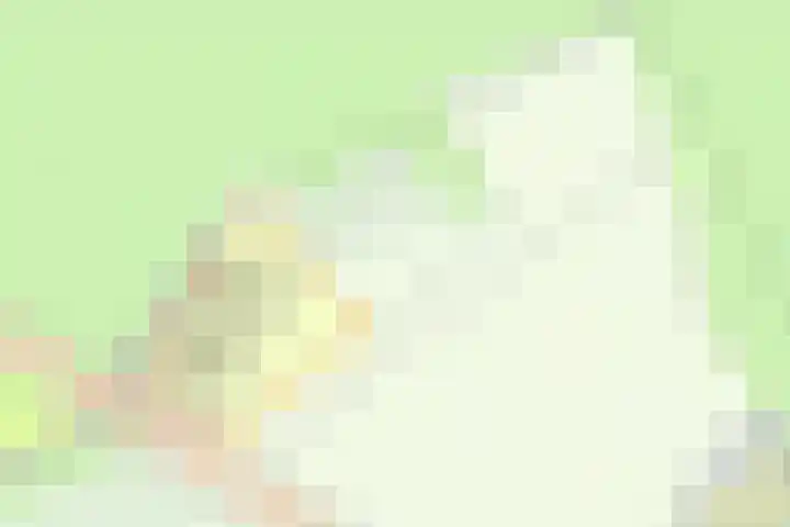 Oude Hammerweg 11 a Giethmen thumbnail 45