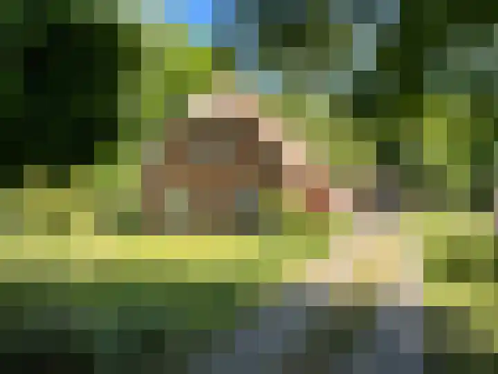 Oude Hammerweg 11 a Giethmen thumbnail 49