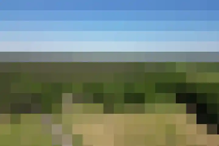 Oude Hammerweg 11 a Giethmen thumbnail 5