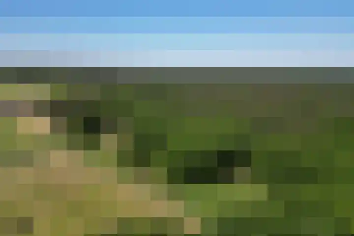 Oude Hammerweg 11 a Giethmen thumbnail 6