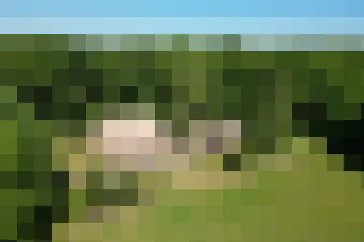 Oude Hammerweg 11 a Giethmen thumbnail 7