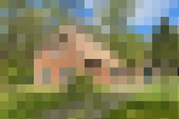 Oude Hammerweg 11 a Giethmen thumbnail 9