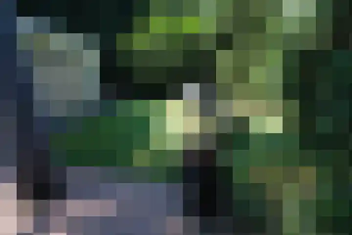 Oude Hammerweg 12 a 001 Vilsteren thumbnail 16