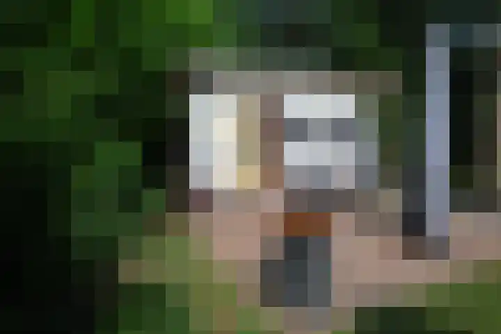 Oude Hammerweg 12 a 001 Vilsteren thumbnail 17