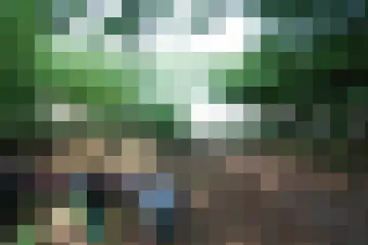 Oude Hammerweg 12 a 001 Vilsteren thumbnail 21