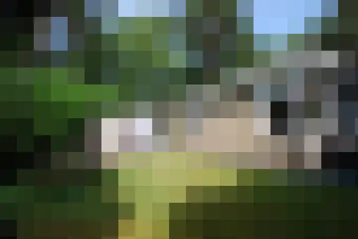 Oude Hammerweg 12 a 001 Vilsteren thumbnail 4