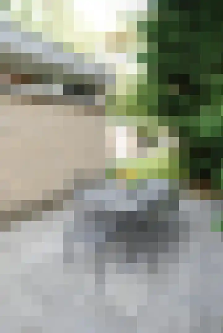 Oude Hammerweg 12 a 001 Vilsteren thumbnail 6