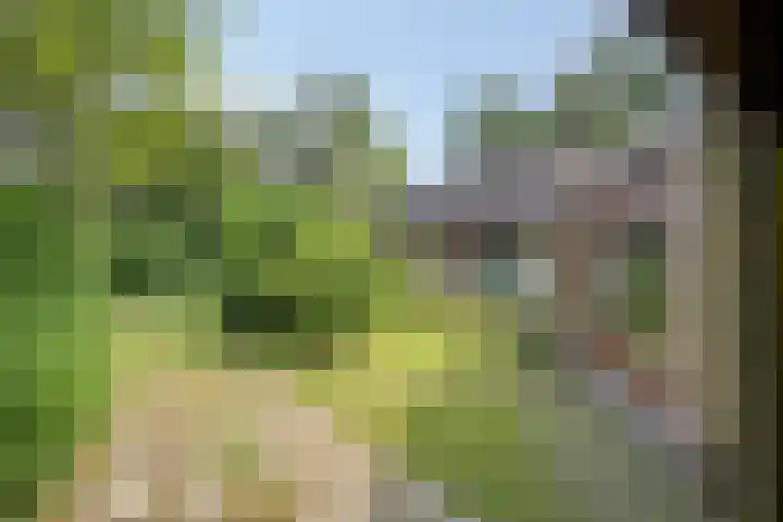 Oude Hammerweg 12 a 051 Vilsteren thumbnail 29