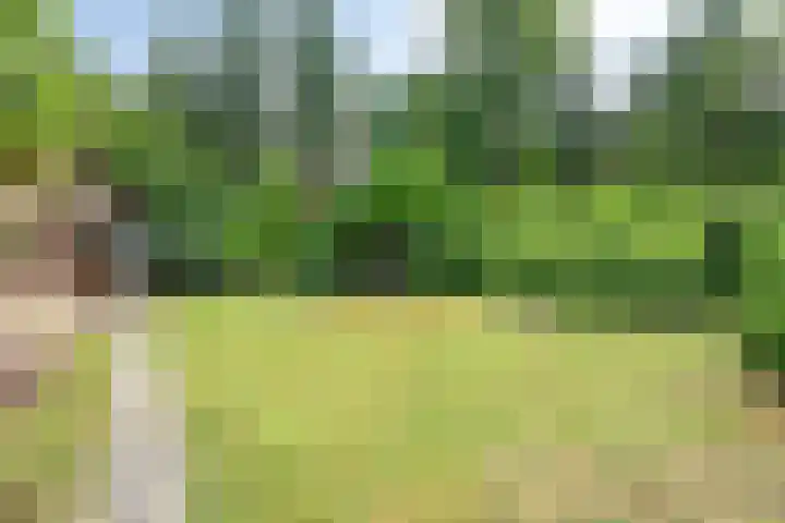 Oude Hammerweg 12 a 051 Vilsteren thumbnail 31