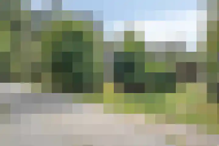 Oude Hammerweg 12 a 051 Vilsteren thumbnail 32