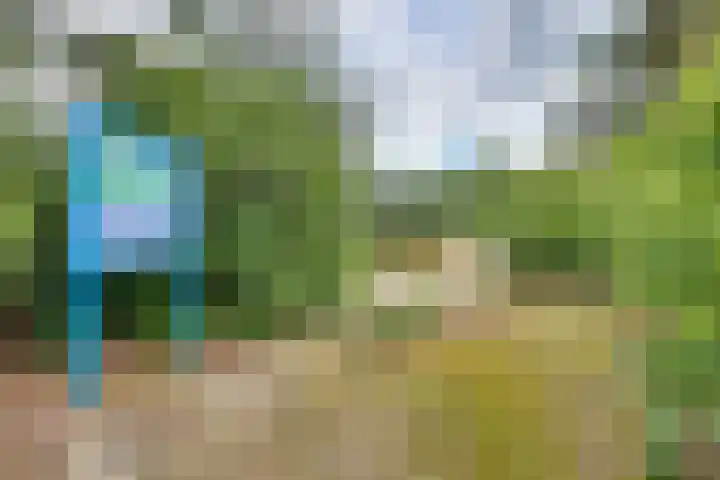 Oude Hammerweg 12 a 051 Vilsteren thumbnail 33