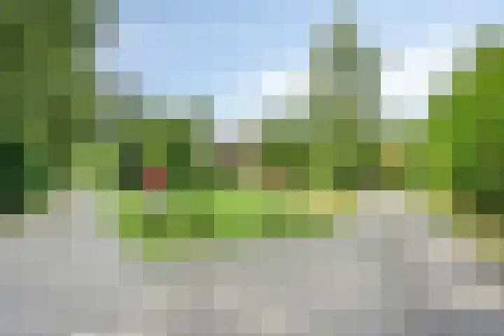 Oude Hammerweg 12 a 051 Vilsteren thumbnail 8