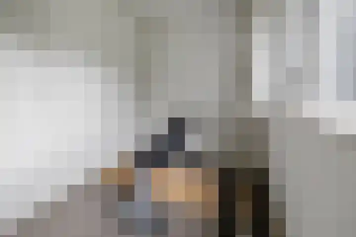 Oude Hammerweg 12 a 091 Vilsteren thumbnail 16