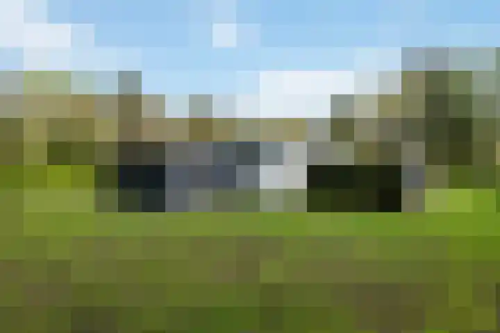 Oude Hammerweg 12 a 091 Vilsteren thumbnail 23