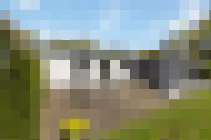 Oude Hammerweg 12 a 091 Vilsteren thumbnail 24