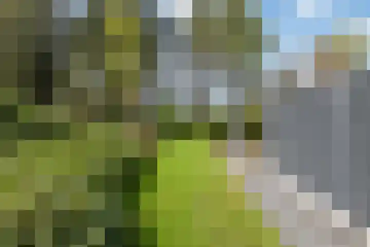 Oude Hammerweg 12 a 091 Vilsteren thumbnail 25