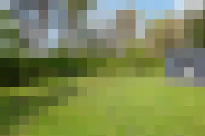 Oude Hammerweg 12 a 091 Vilsteren thumbnail 26