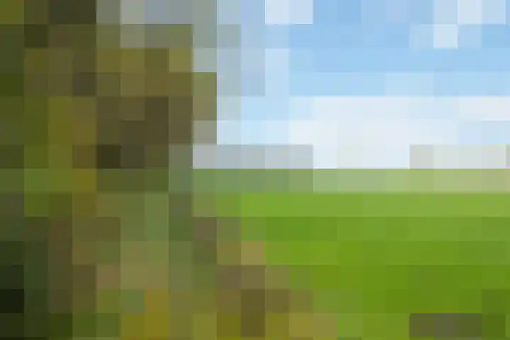 Oude Hammerweg 12 a 091 Vilsteren thumbnail 28