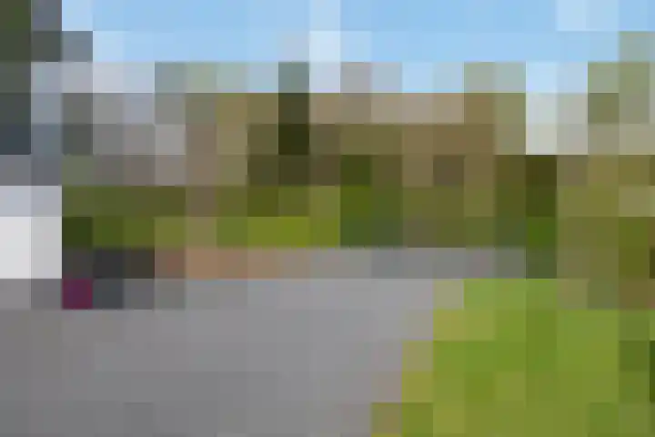 Oude Hammerweg 12 a 091 Vilsteren thumbnail 4
