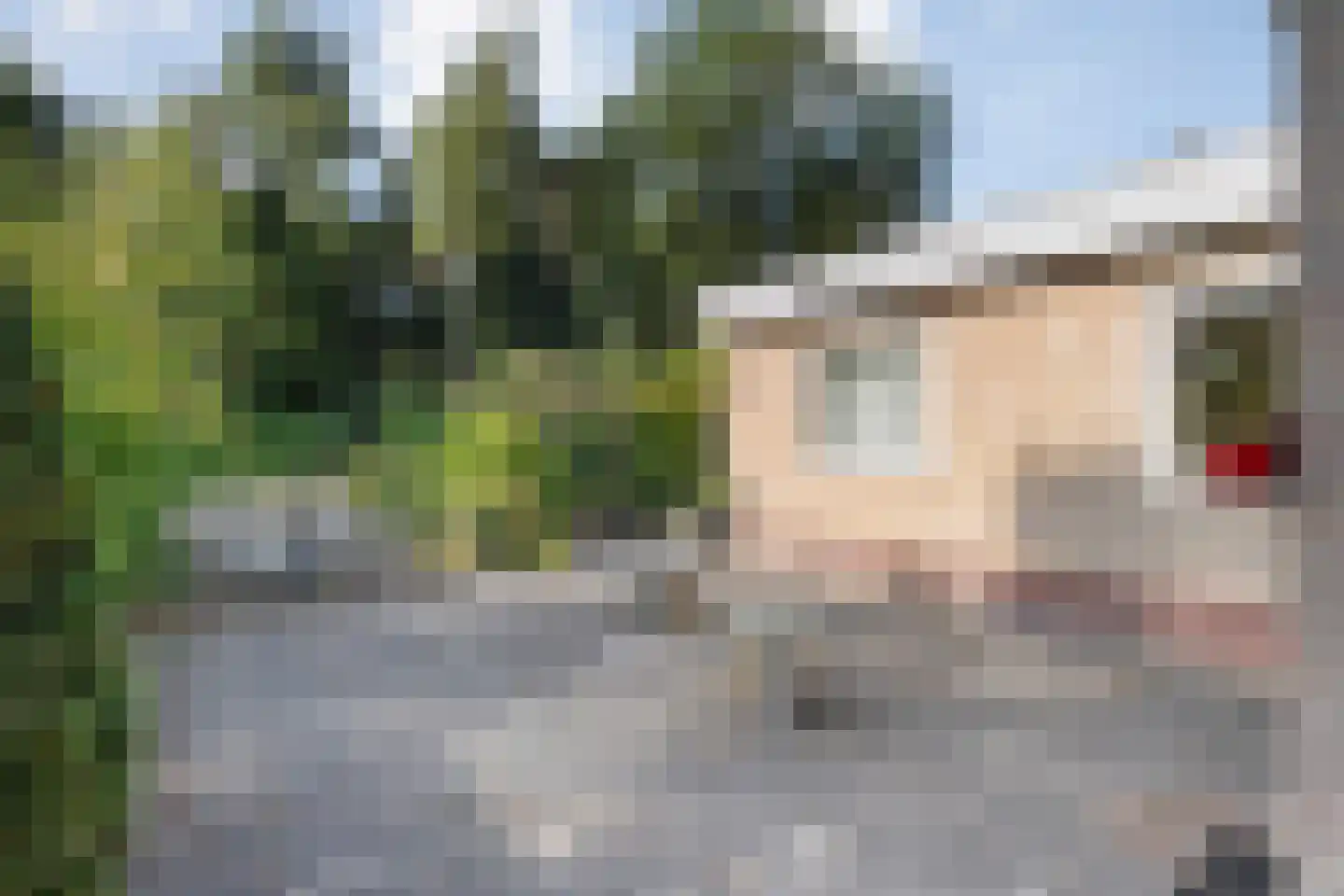 Oude Hammerweg 12 a 093 Vilsteren thumbnail 23
