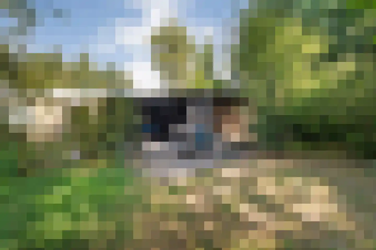 Oude Hammerweg 12 a 093 Vilsteren thumbnail 25